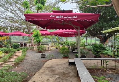 Dù Che Nắng Quán Cà Phê Đẹp, Bền – Giải Pháp Hoàn Hảo Cho Không Gian Ngoài Trời